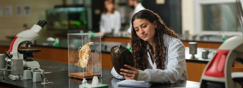 A Bachelor of Science degree student holds a turtle shell while sitting in a lab 